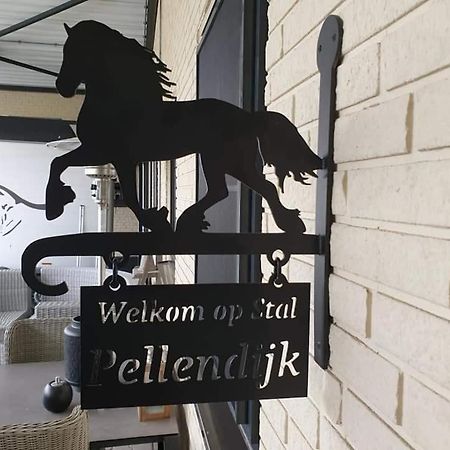 Luxe Gastenkamer Met Living En Keuken Bij Friezen Paarden Stal Pellendijk Westendorp Extérieur photo