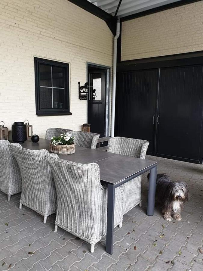 Luxe Gastenkamer Met Living En Keuken Bij Friezen Paarden Stal Pellendijk Westendorp Extérieur photo