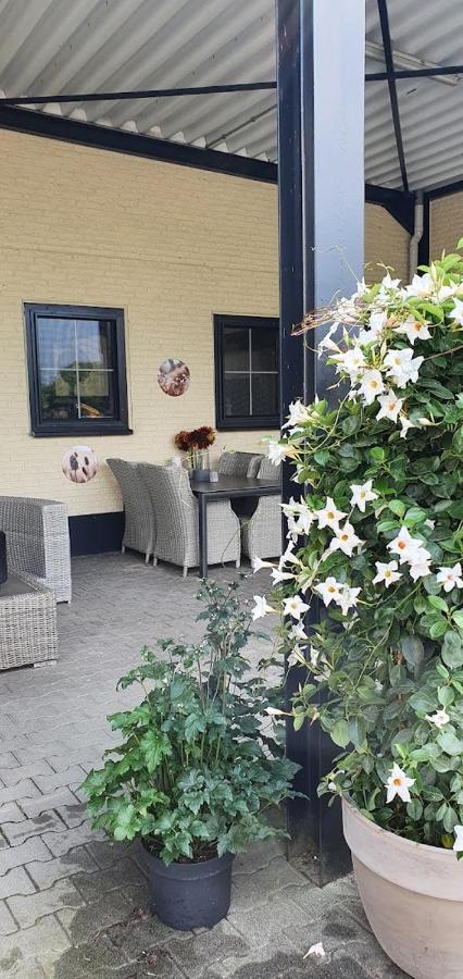 Luxe Gastenkamer Met Living En Keuken Bij Friezen Paarden Stal Pellendijk Westendorp Extérieur photo