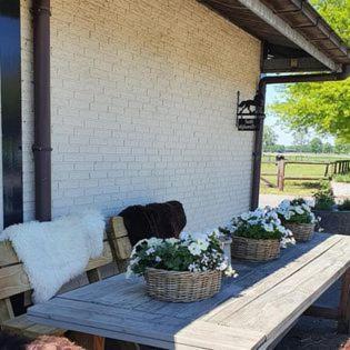 Luxe Gastenkamer Met Living En Keuken Bij Friezen Paarden Stal Pellendijk Westendorp Extérieur photo
